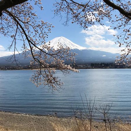 Mt Fuji Cat&Dog&Spa Pension Blue Poppy Фуджикавагучико Екстериор снимка