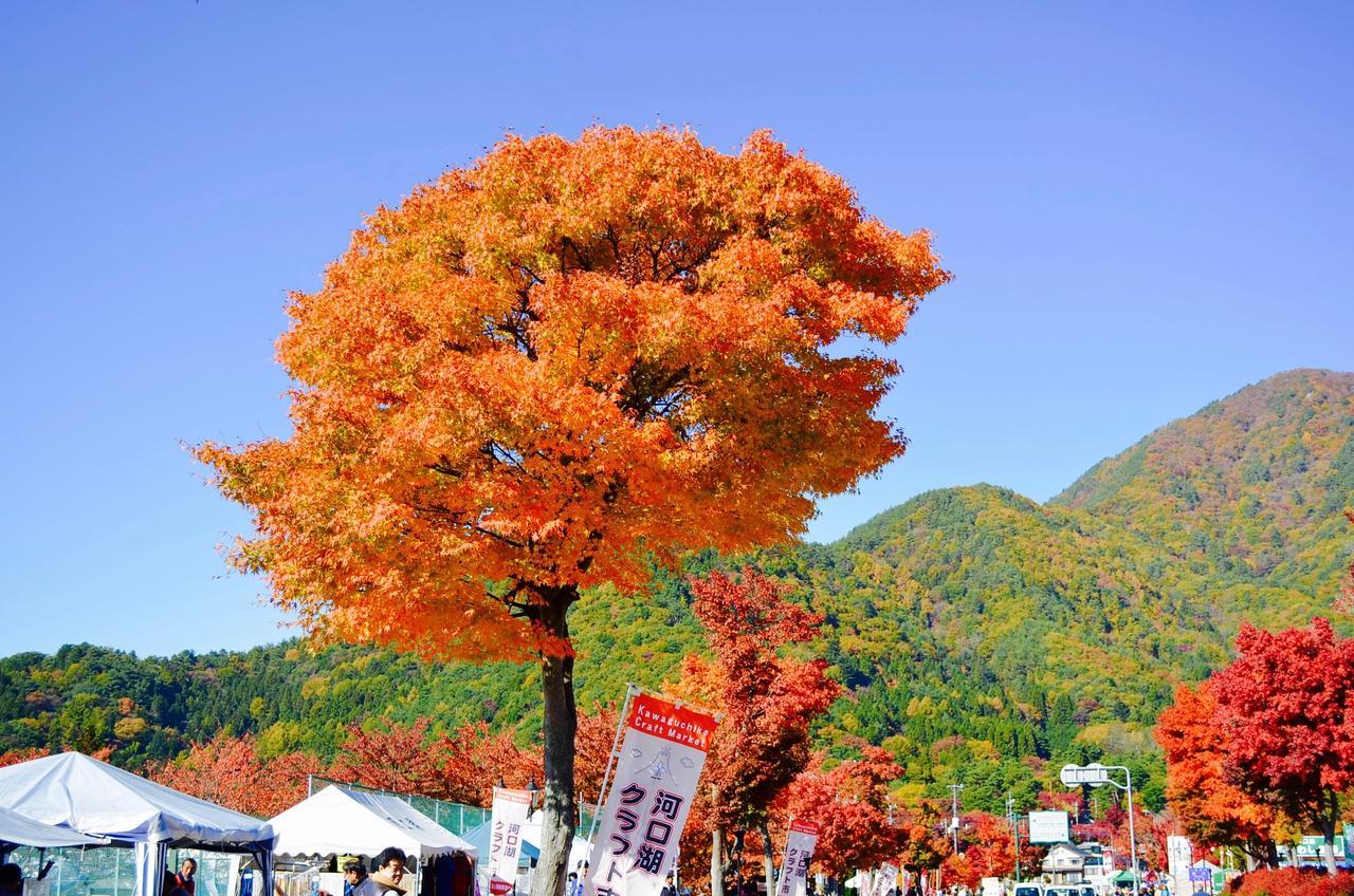 Mt Fuji Cat&Dog&Spa Pension Blue Poppy Фуджикавагучико Екстериор снимка
