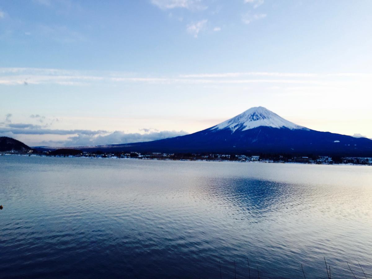 Mt Fuji Cat&Dog&Spa Pension Blue Poppy Фуджикавагучико Екстериор снимка