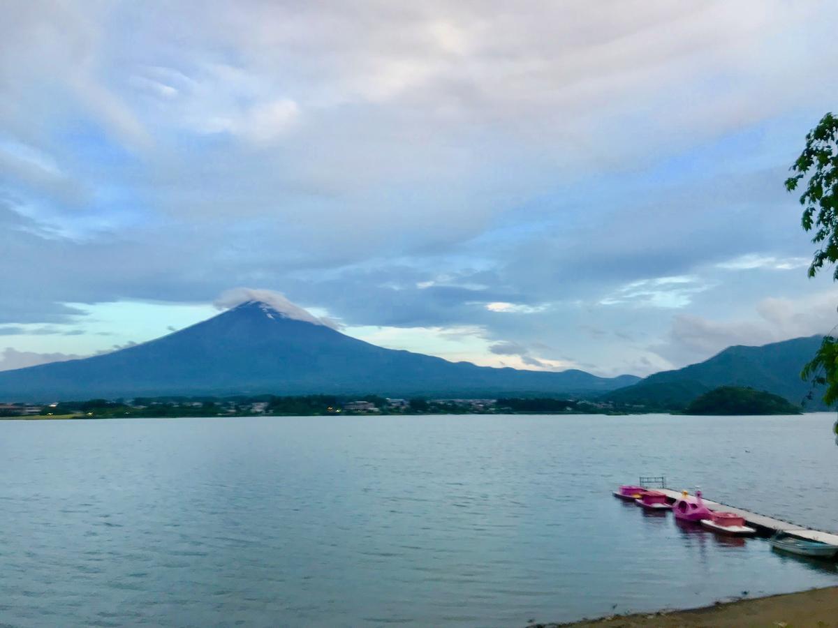 Mt Fuji Cat&Dog&Spa Pension Blue Poppy Фуджикавагучико Екстериор снимка