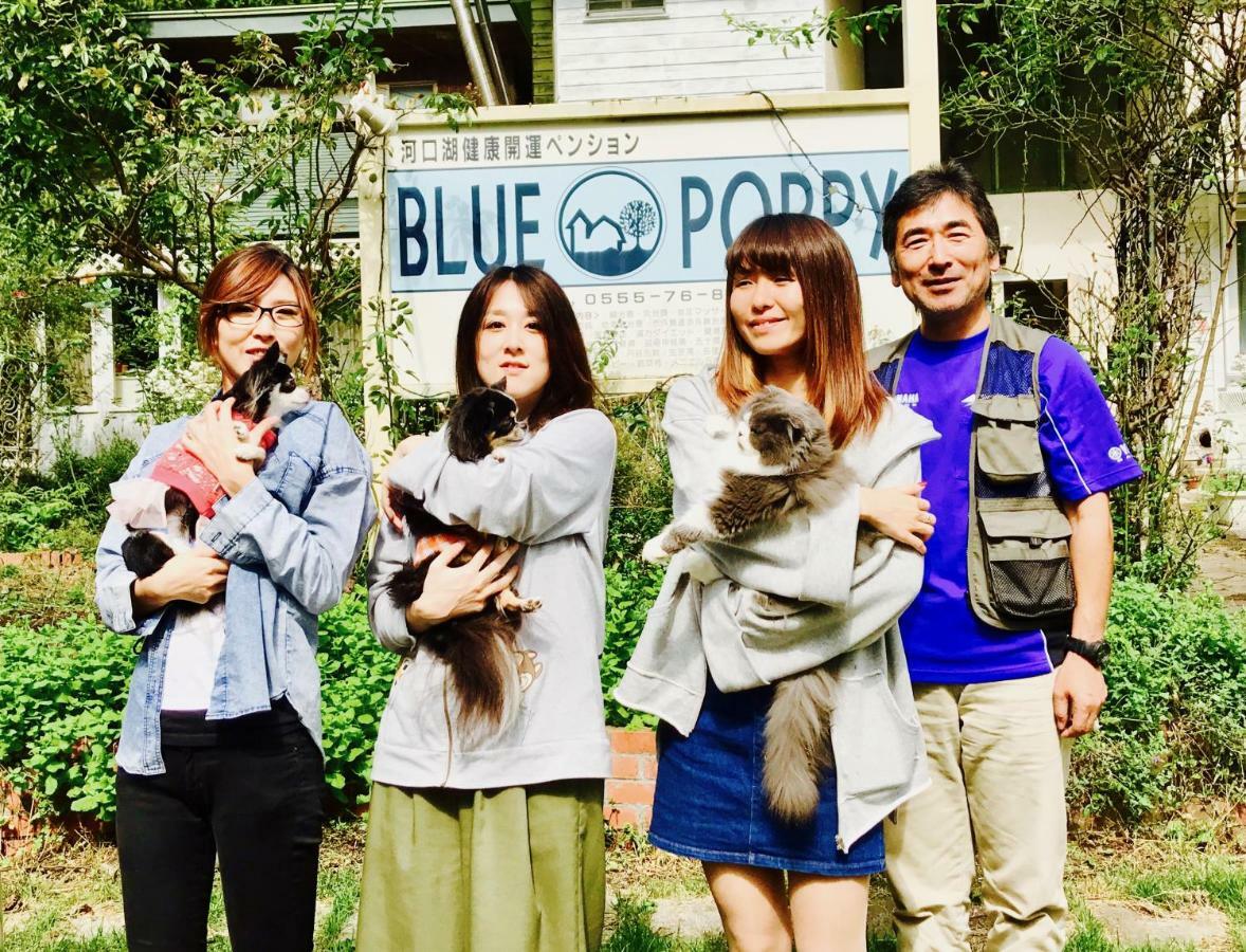 Mt Fuji Cat&Dog&Spa Pension Blue Poppy Фуджикавагучико Екстериор снимка
