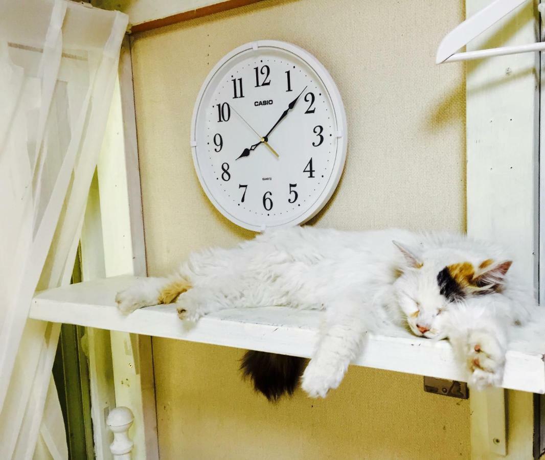 Mt Fuji Cat&Dog&Spa Pension Blue Poppy Фуджикавагучико Екстериор снимка
