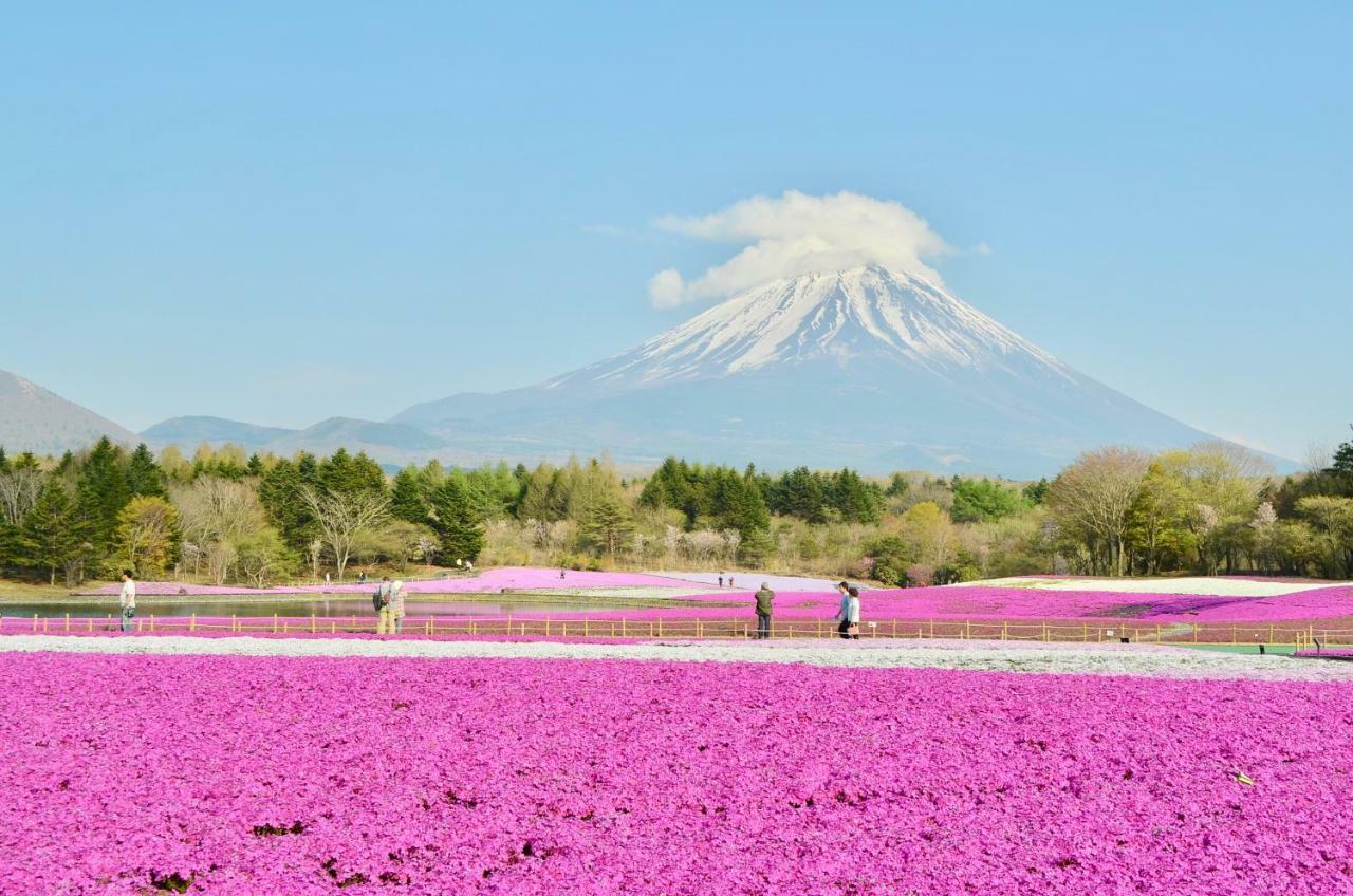 Mt Fuji Cat&Dog&Spa Pension Blue Poppy Фуджикавагучико Екстериор снимка