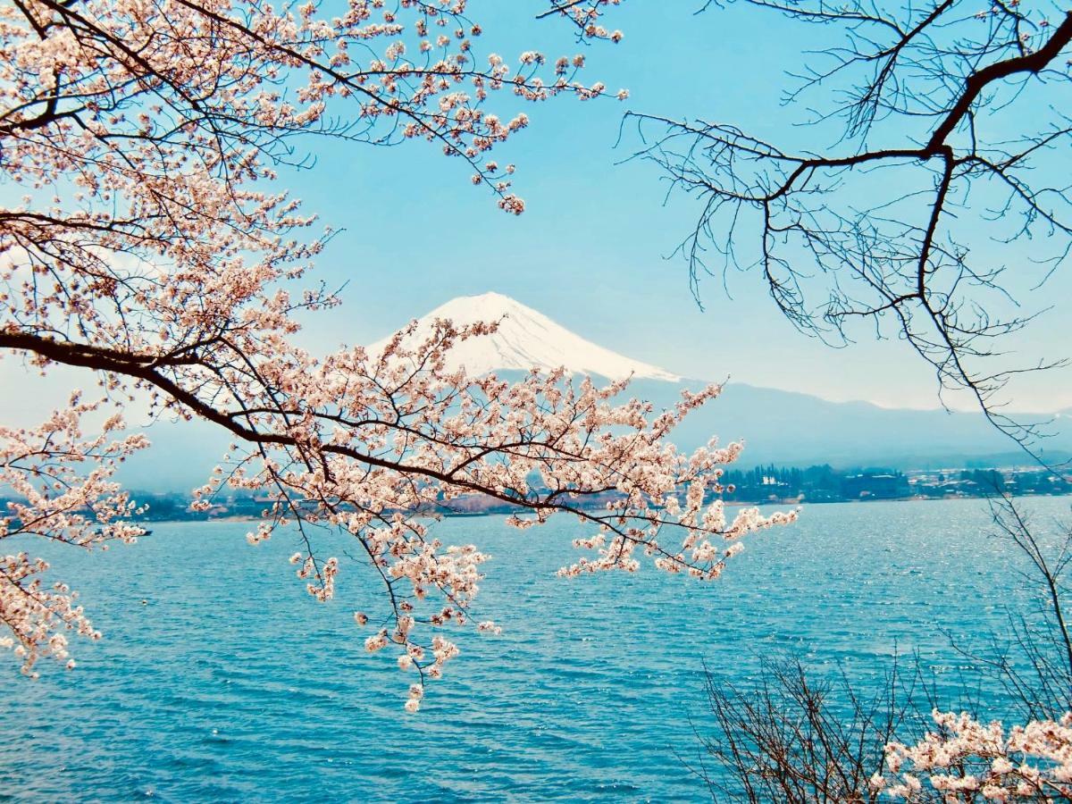 Mt Fuji Cat&Dog&Spa Pension Blue Poppy Фуджикавагучико Екстериор снимка